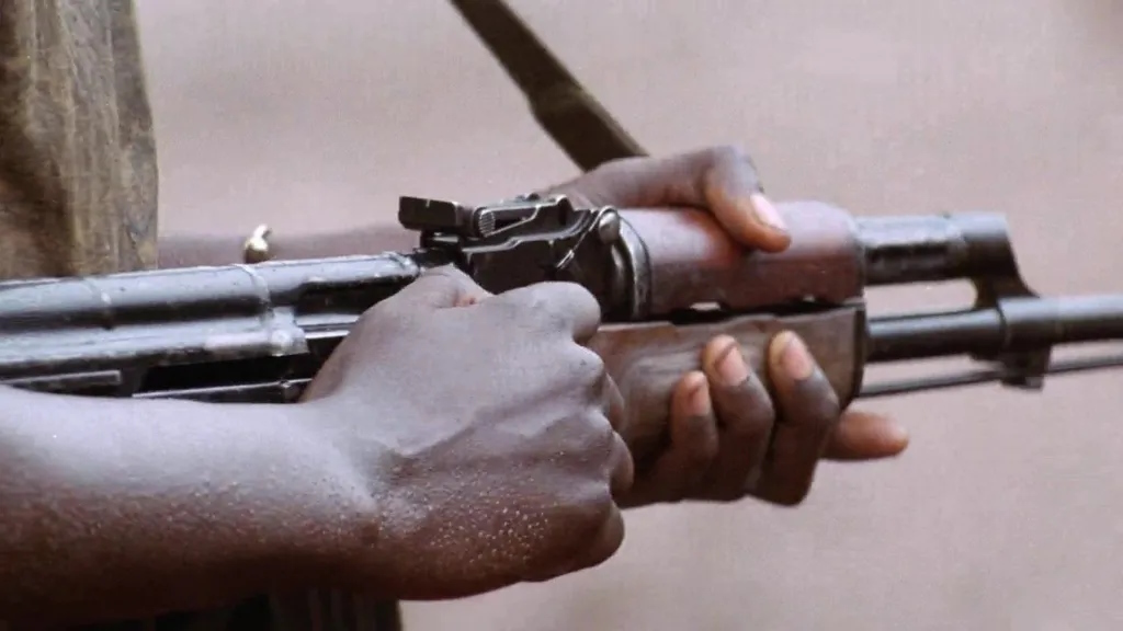 Internacional/África: Massacre em Zamfara: 35 reféns assassinados apesar do pagamento de resgates