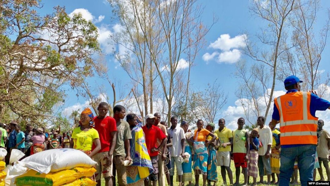 Moçambique/Sociedade: Insegurança Alimentar em Moçambique, ONG Atuam, Mas Crise Persiste