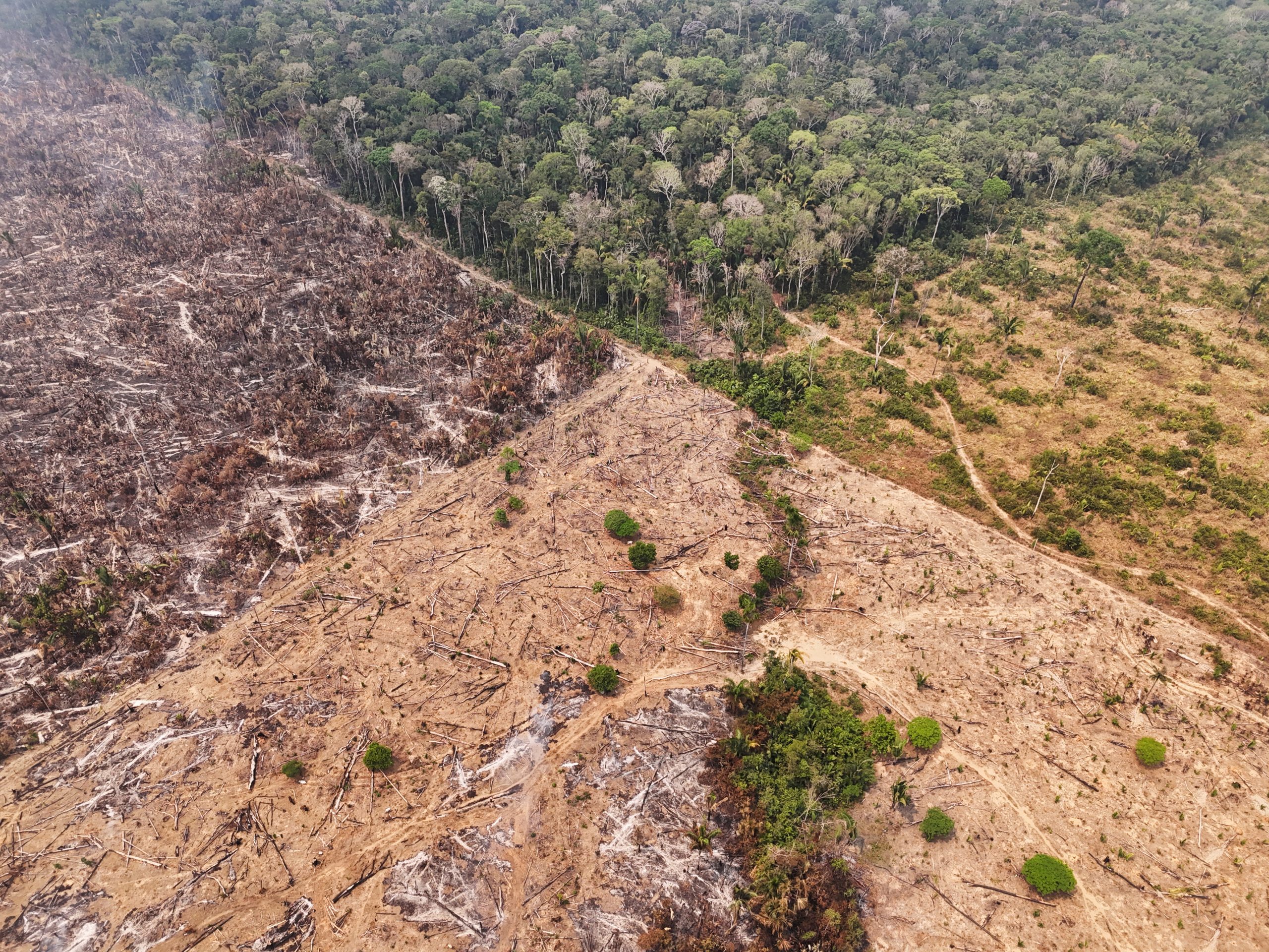 FILE PHOTO: A drone view of a forest fire devastation in the Amazon in an area of the Trans-Amazonian Highway BR230 in Labrea, Amazonas state, Brazil September 4, 2024. REUTERS/Bruno Kelly/File Photo