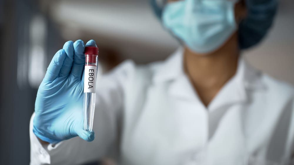 Nova vacina contra o Ébola avança para testes em humanos após aprovação no Reino Unido