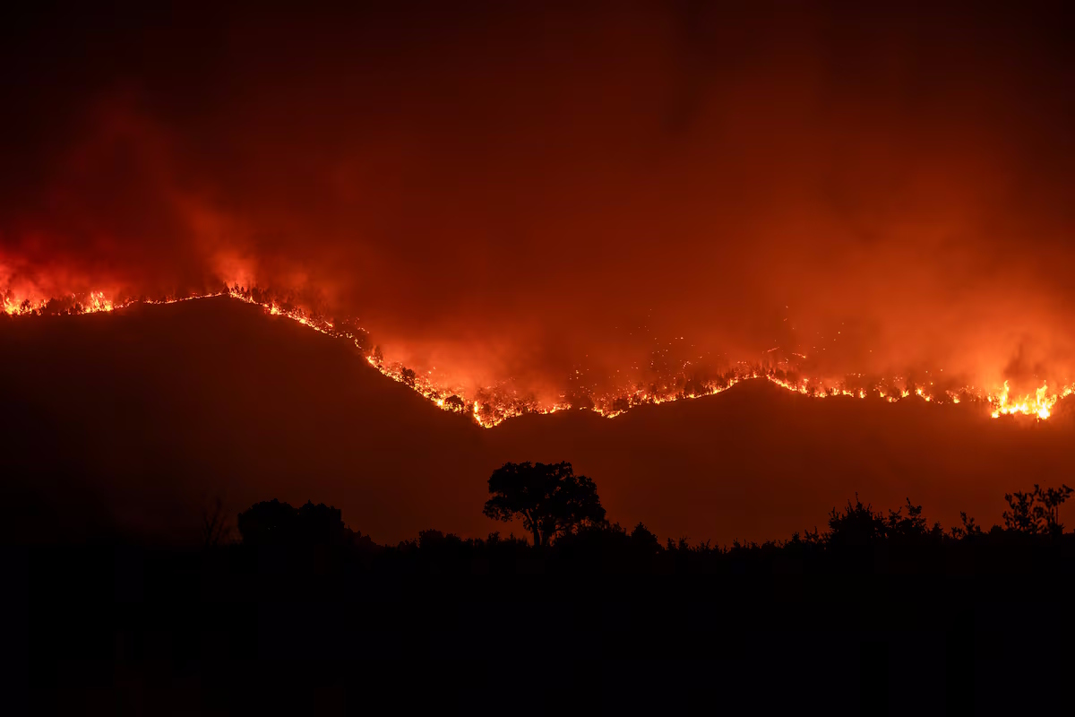 Incêndio devastador em Andaluzia faz 12 mortos e torna-se uma das maiores tragédias florestais de Espanha em 2026
