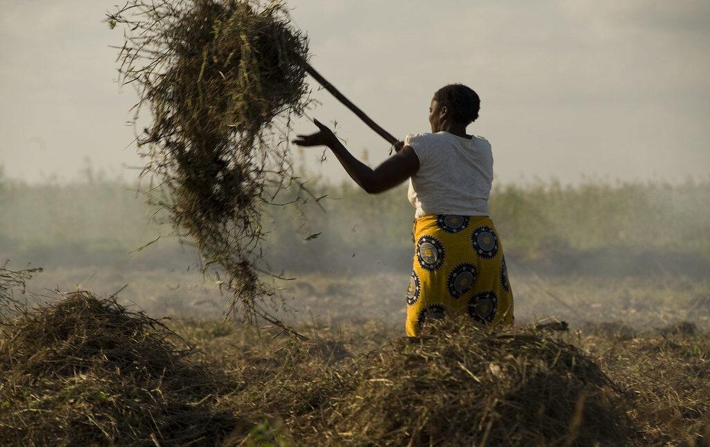 Insegurança alimentar atinge milhões de moçambicanos e expõe fragilidades no sistema alimentar nacional