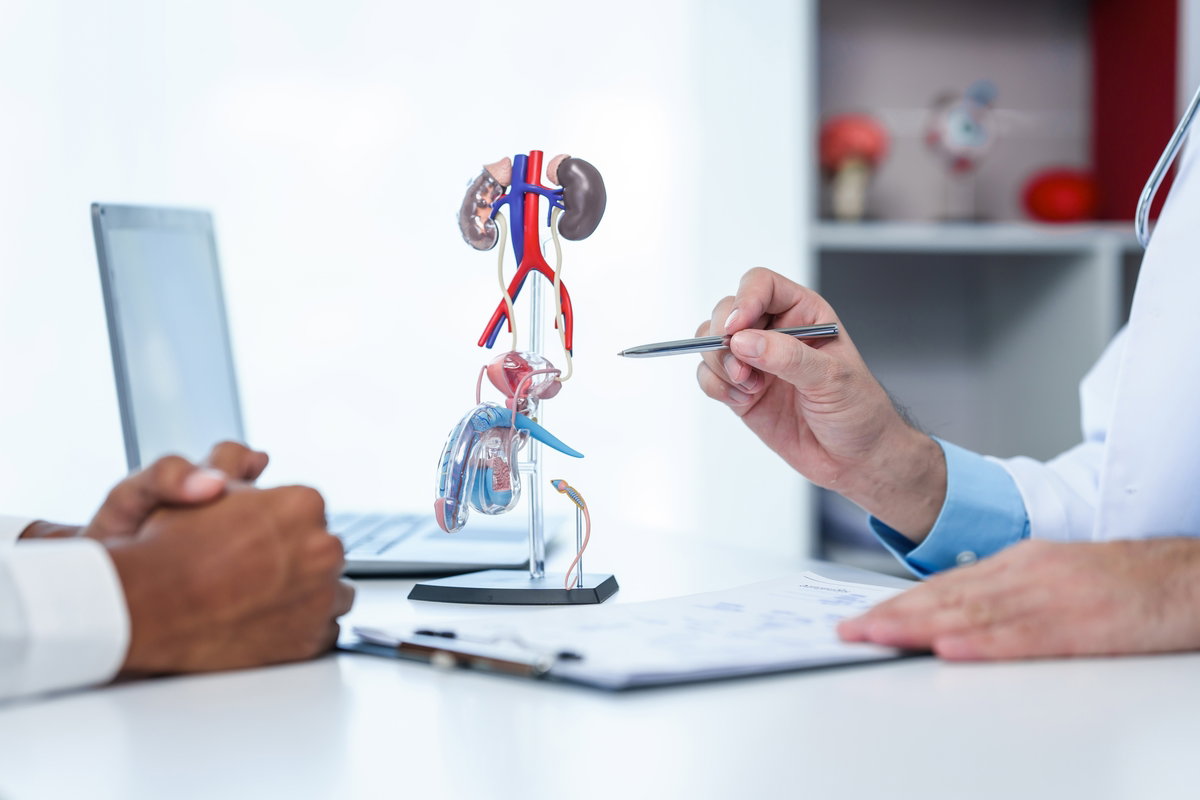 Quem é o urologista e quando deve procurá‑lo