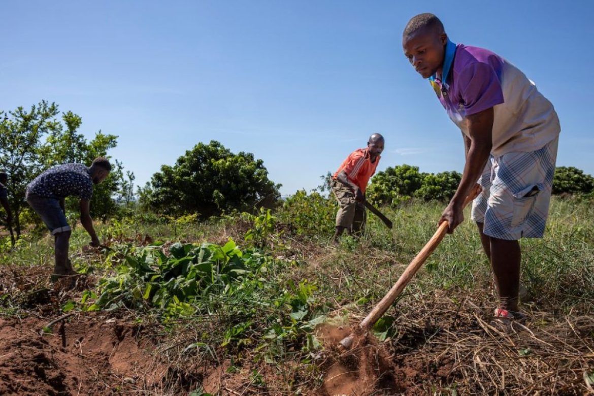 Mais de 3,5 milhões em risco: Moçambique entre os países africanos mais vulneráveis à insegurança alimentar